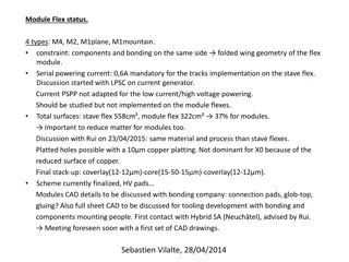 Module Flex Status & Tooling Discussion