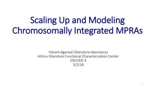 Scaling Up and Modeling Integrated MPRAs