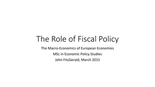 The Role of Fiscal Policy