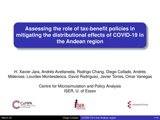 Mitigating Distributional Effects of COVID-19 in Andean Region