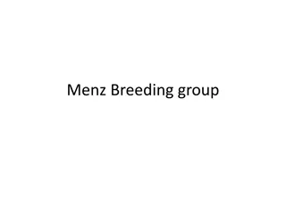Menz Sheep Breeding Program Overview
