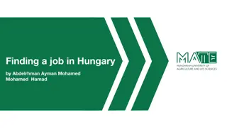 Finding a job in Hungary