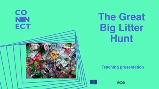 The Great Big Litter Hunt Teaching Presentation