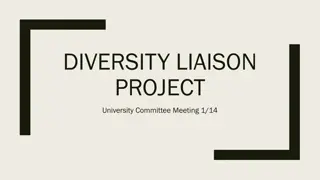 DIVERSITY LIAISON  PROJECT