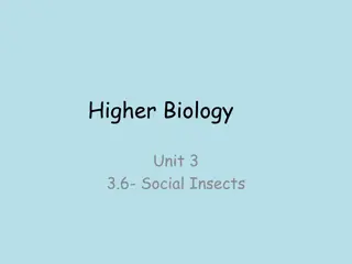 Higher Biology
