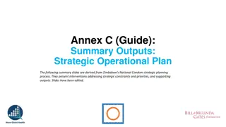 Strategic Priority Outputs Summary