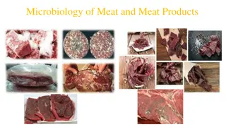 Microbiology of Meat and Meat Products