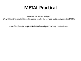 METAL Practical