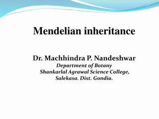 Mendelian Inheritance: History and Laws