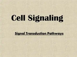 Cell Signaling & Signal Transduction Pathways