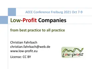 Low-Profit Companies from Best Practice to All Practice