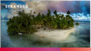 Island Adventure - Stranded in Paradise