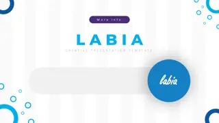 Creative Presentation Templates