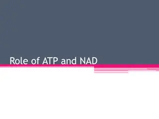 Role of ATP and NAD in Cellular Energy Transfer