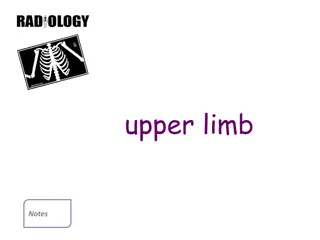 upper limb