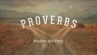 Wisdom and Plans