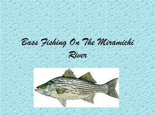 Bass Fishing on the Miramichi River Captured in Stunning Images