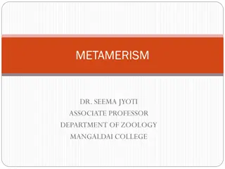 METAMERISM