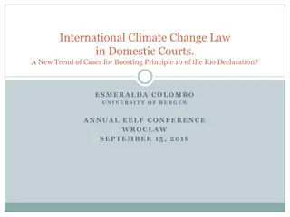 International Climate Change Law in Domestic Courts.