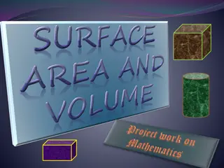 Cuboids and Cylinders in Geometry