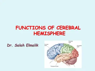 Functions of Cerebral Hemisphere and Cortex