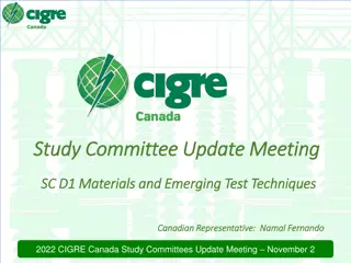 Canadian Representative Namal Fernando at 2022 CIGRE Canada Study Committees Update Meeting