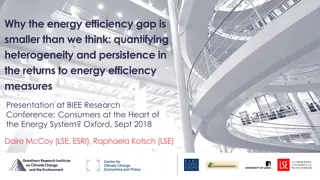 Quantifying Heterogeneity in Energy Efficiency Returns