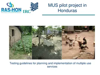 Testing Guidelines for MUS Pilot Project in Honduras