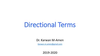 Directional Terms
