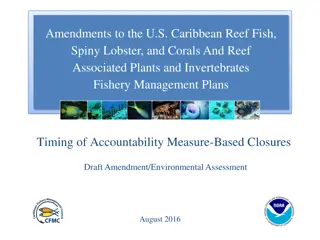 Amendments to U.S. Caribbean Reef Fisheries Management Plans