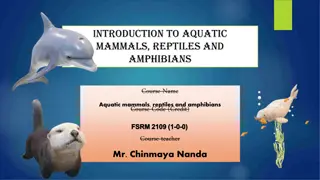 Introduction to Aquatic Mammals, Reptiles, and Amphibians Course