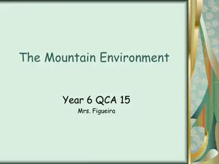 Mountain Environments