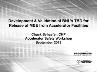 Development and Validation of BNLs TBD for Release of M&E
