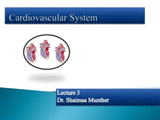 Cardiac Output and Its Determinants