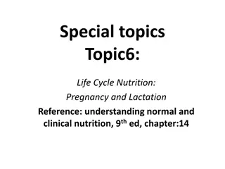 Pregnancy and Lactation Nutrition Guide