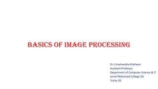 Basics of Image Processing and M-Function Programming