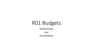 Budgets and Cost Categories Explained