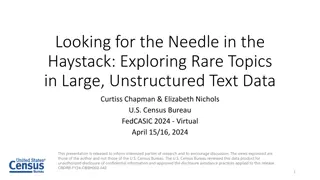 Rare Topics in Large Text Data