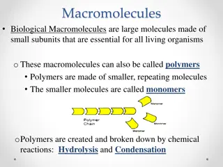 Essential Macromolecules in Living Organisms