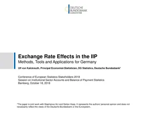 Exchange Rate Effects in the IIP