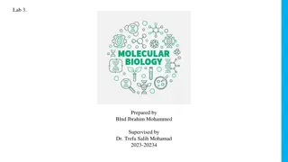 Lab Report by Ibrahim Mohammed: Supervised by Dr. Trefa Salih