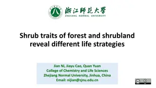 Shrub Traits in Forest and Shrubland Life Strategies