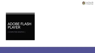Adobe Flash Player