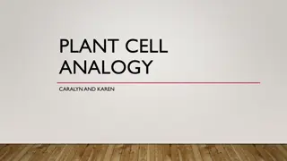 PLANT CELL ANALOGY