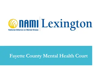 Fayette County Mental Health Court Program