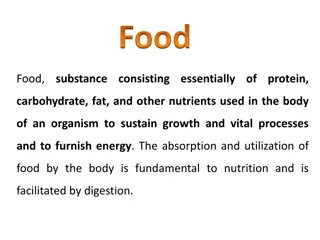 Food Digestion Process