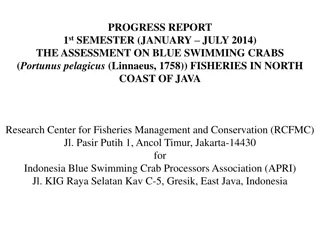 Progress Report on Blue Swimming Crabs Fisheries Assessment
