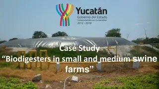 Biodigesters in Small and Medium Swine Farms