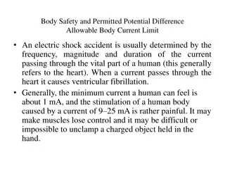 Body Safety in Electric Shock Accidents
