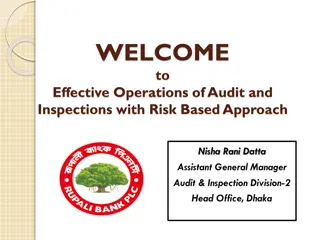 Effective Operations of Audit and Inspections with Risk-Based Approach